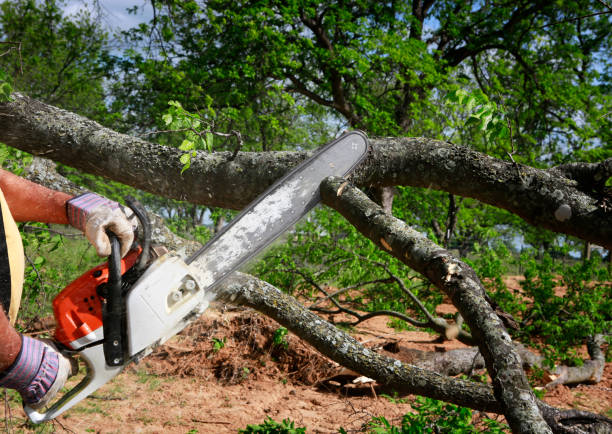 Mulching Services in Brownsville, PA